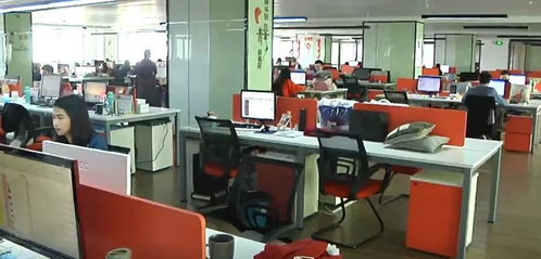 張學龍一行實地調研民營企業，助力創新發展與實業投資